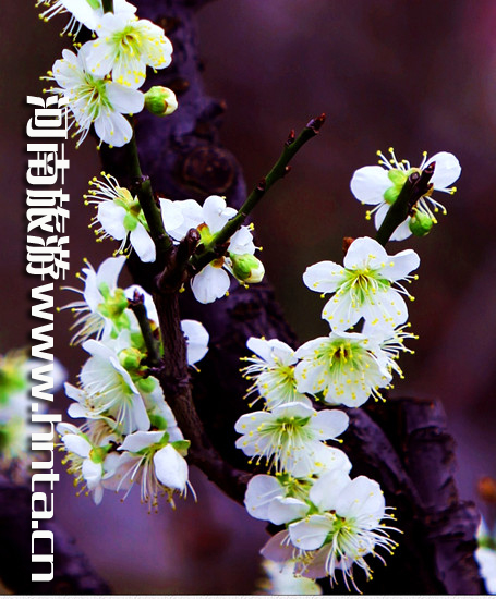 ����۳�꣺ꖴ����� �p������(d��ng)�r(sh��)