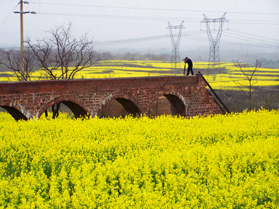 ���ݜ���p����Ʒ·��