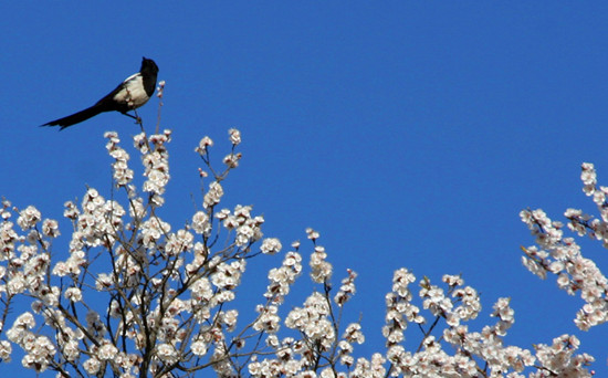 ���ݷ���ɽ���ɶ��ӻ���(ji��)�������_Ļ