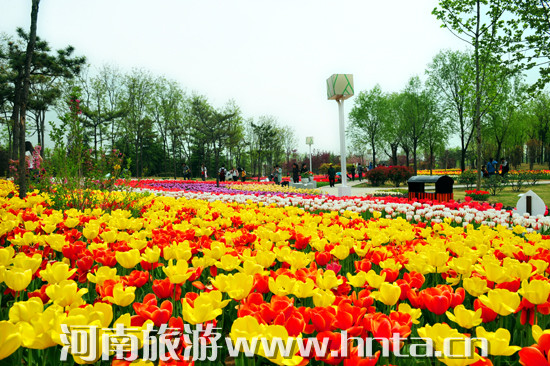 һ��̤��ɣ����ݴ���̤�����]