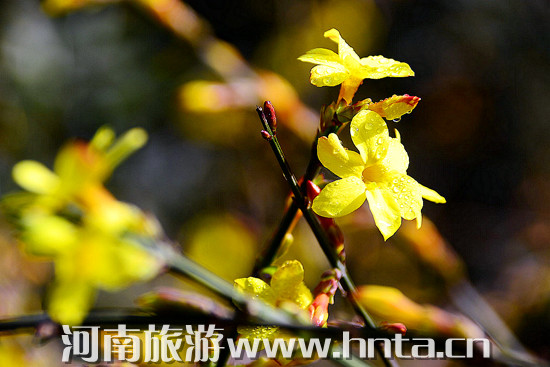 һ��̤��������ݴ���̤�����]