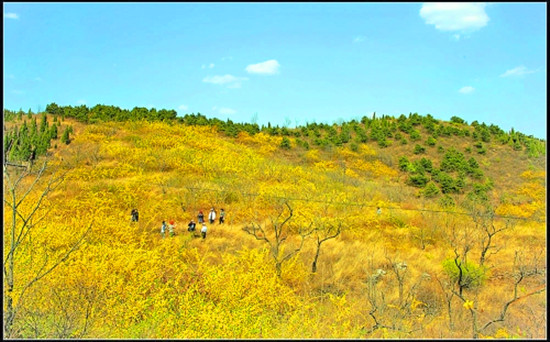 �B�N���_(k��i)ӭ����һ֧ ʡ��(n��i)�p�B�NĿ�ĵ�