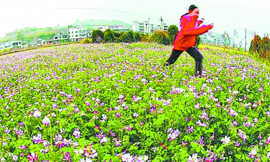 ��ػ�̺����Ӣ �����p����ꖳ�