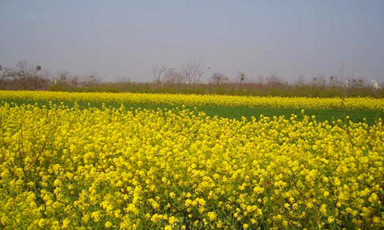 �������������ٹ��@��ٻ��_