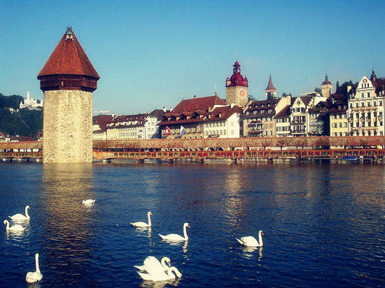 ��(gu��)����Ο���ߝq ���I(l��ng)��ע������w�(y��n)