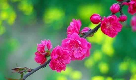 ꖴ����� �����͎������M�L����