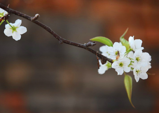 ����ϲ���� �p���S����