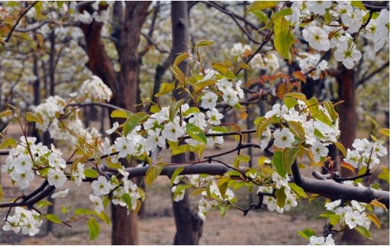 �������꣺��s����֮�l(xi��ng) �M����@��ɫ