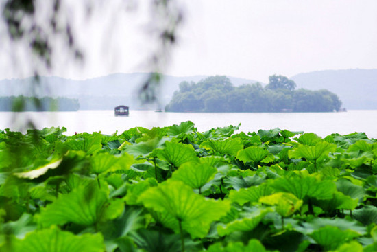 һ��(g��)����һ�����������������M(f��i)�r(sh��)�g&mdash;&mdash;����