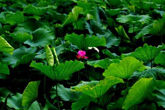 һ��(g��)����һ�����������������M(f��i)�r(sh��)�g&mdash;&mdash;����