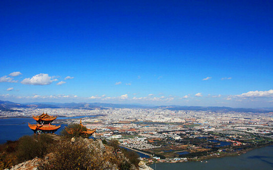 ���ǟo̎���w�� ����