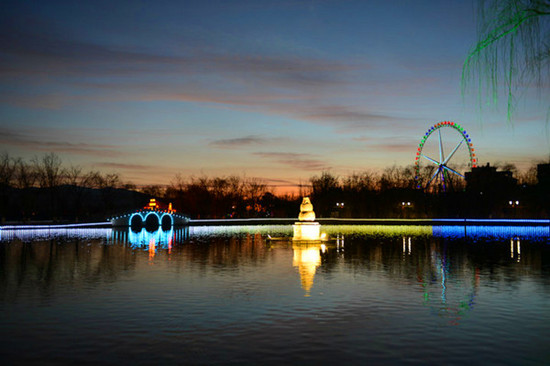 ���ǟo̎���w�� ��������