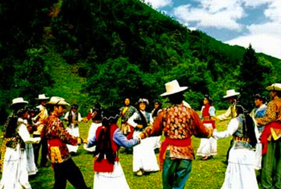 �����o(w��)̎���w�� ���� ���R��(ji��)