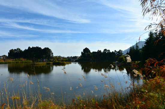 ���ǟo(w��)̎���w�� �������