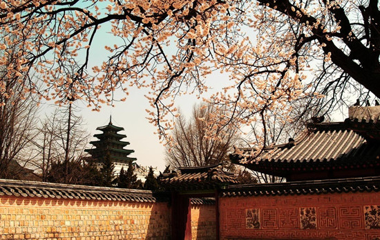 �҇�����F꠸��n���Ό��F(xi��n)&ldquo;������&rdquo;