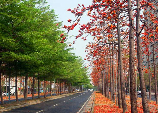 �V��ľ�޻� ���F���� ��������