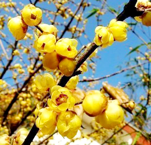 �紺�G���s������