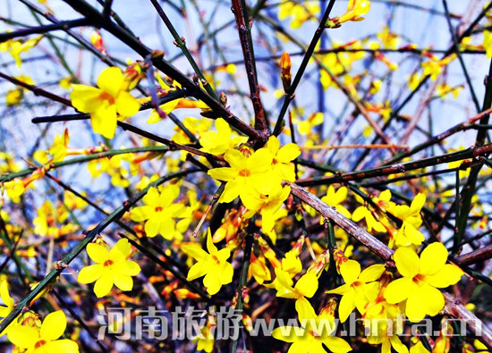 周末踏青游 鄭州周邊 自駕游