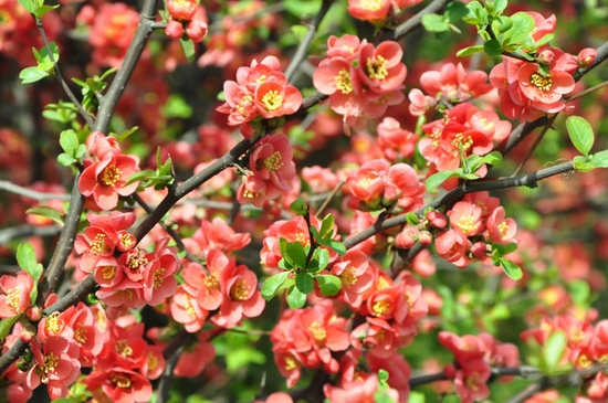 �S������ ۳�껨�@