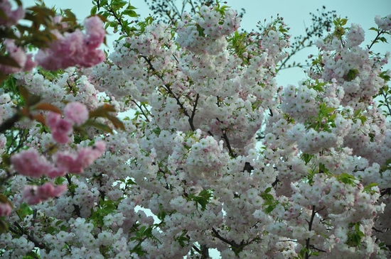 �S������ ۳�껨�@