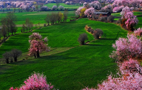 �һ����� ������֥ �����һ�