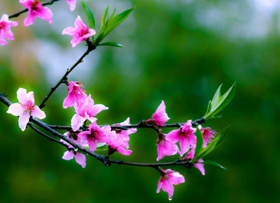 �һ����� ������֥ �����һ�