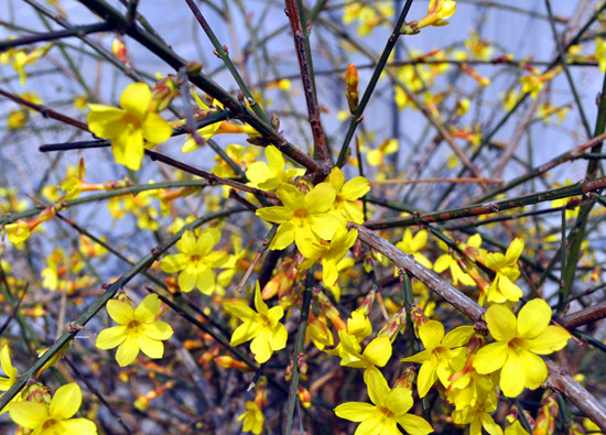 �����p��  �����p��  ��������