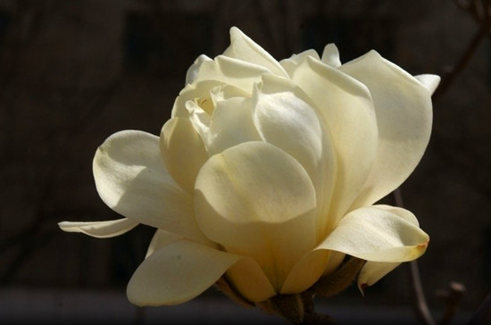 �����p��  �����p��  ��������