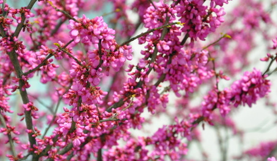 �����p��  �����p��  ��������