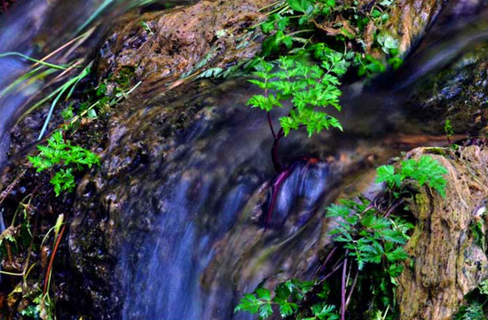 ���������{  ��������  ��������