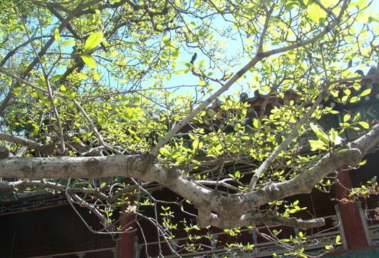 ���p���m��һ֦ ���m�^�p�����]