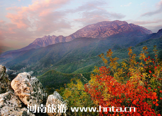 ����կ��ɽ��ِ���ڱ���20���e��