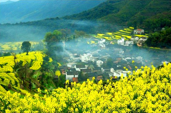 ��Դ�p����˼?x��)w