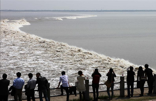 ��Ѵ����  ���X����