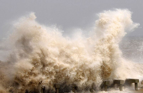 ��Ѵ����  ���X����