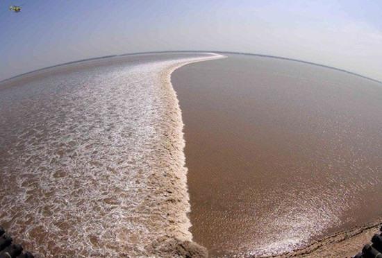 ��Ѵ����  ���X����