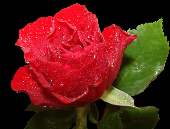 �����r�B�@����õ���Ļ���(ji��)�������_Ļ