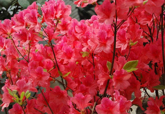 �_������ ����(n��i)���N���^�p�����]