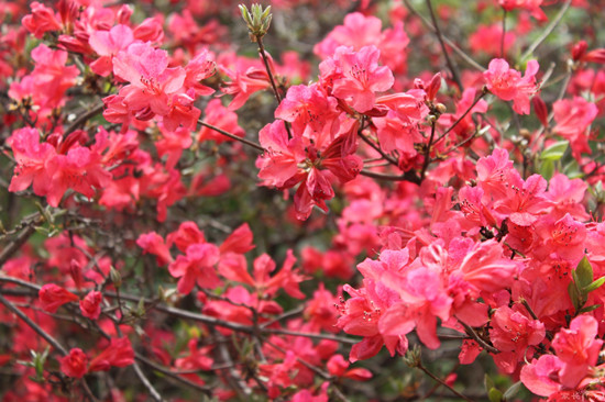 �_������ ��(gu��)��(n��i)���N���^�p�����]