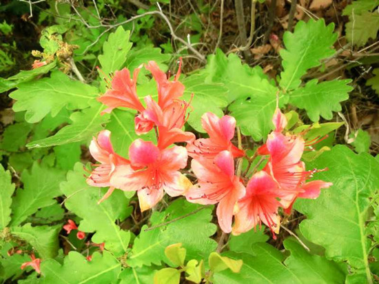 �_������ ��(gu��)��(n��i)���N���^�p�����]