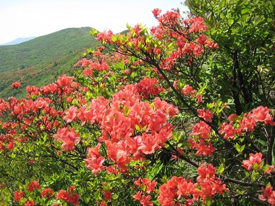 �_������ ��(gu��)��(n��i)���N���^�p�����]