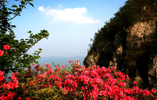 �_������ ��(gu��)��(n��i)���N���^�p�����]