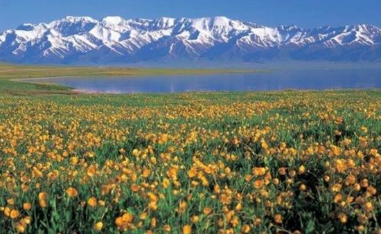 �_������ ����(n��i)���N���^�p�����]