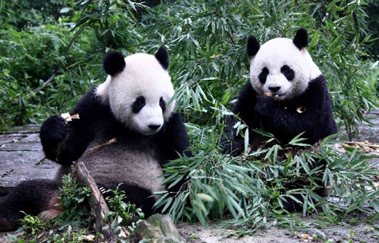 ���M(j��n)�Ĵ��Ű���ͦס���Ű���