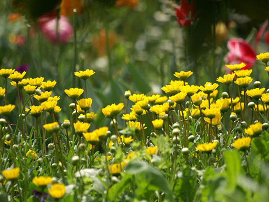 ���(y��ng)������������ů���_(k��i)�����������C(j��)�����T(m��n)Ʊ