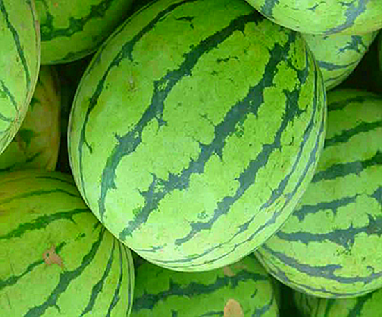 �����خa(ch��n) ��������