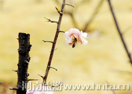 &ldquo;�G&rdquo;��(d��ng)���� 4��@��������