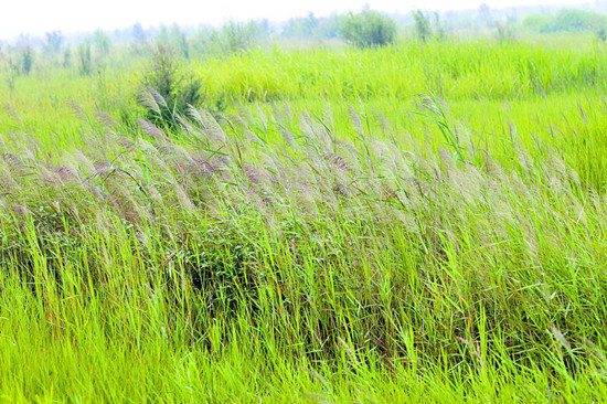 &ldquo;�G&rdquo;��(d��ng)���� 4��ɭ�ֈ@�^(q��)������