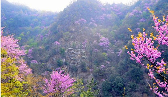 ���G�����p���� �������{�Ͼ���