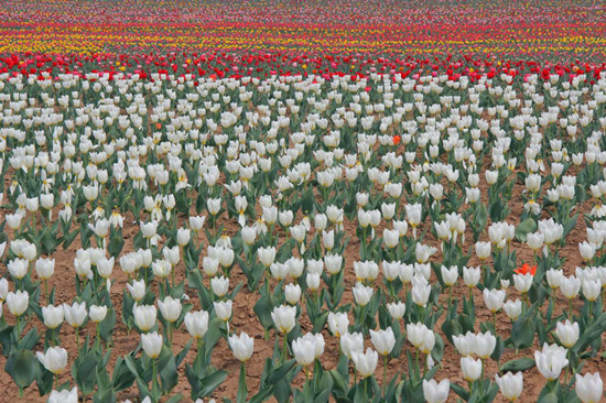 ���p������αص����m �����^�p�����]